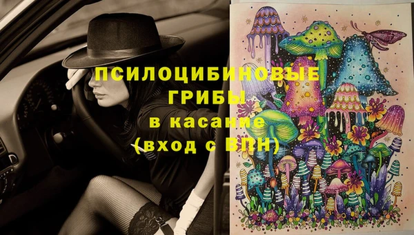 прущие крисы Алексин