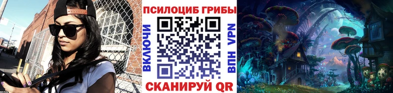 Галлюциногенные грибы прущие грибы kraken ссылки Буй